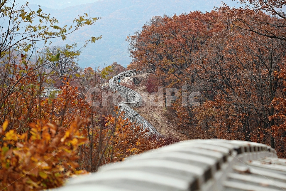 남한산성,성,성곽,단풍,낙엽,길,둘레길,숲,숲길,담,돌담,가을,자연,풍경,벽,울긋불긋,산성,식물,가을,계절,fall,autumn,season,tree,나무,plant,leaf,잎