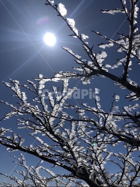 겨울산행,설경,눈꽃,자연,nature,파란하늘,겨울,winter,겨울산,얼음꽃,상고대