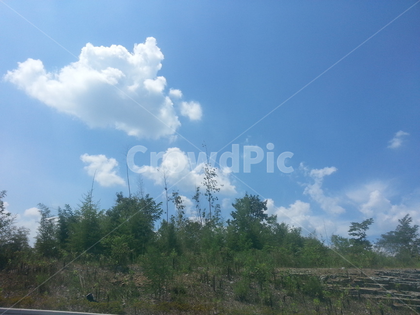 자연,하늘,날씨,cloud,sky,nature,outdoors,옥외