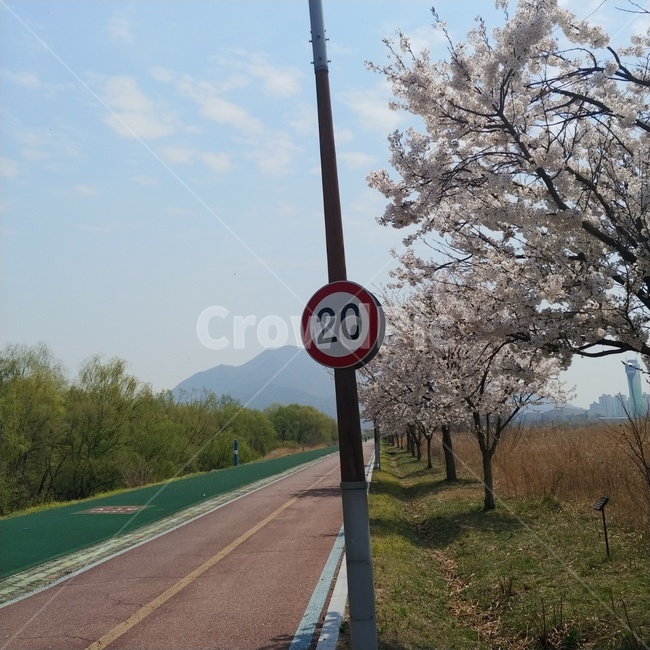 길,봄풍경,공원,산책,하늘