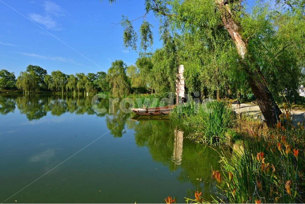 충남,부여,궁남지,반영,water,물,outdoors,옥외,nature,자연,돚단배