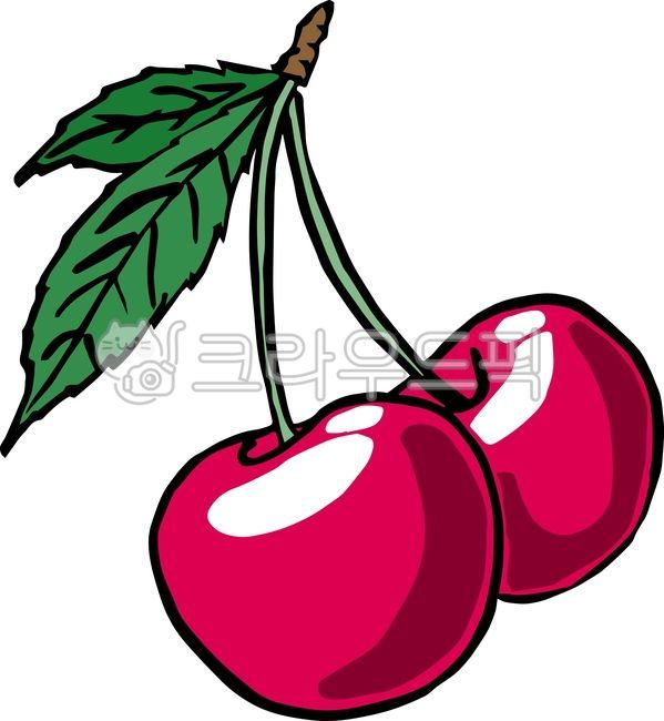 체리,앵두,cherry,fruit,과일