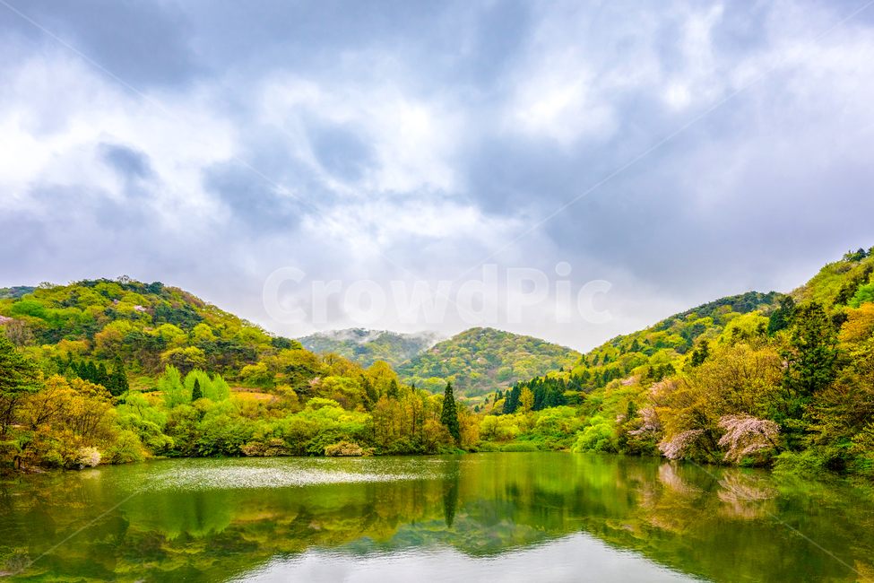 세량지,세량제,물,화순군,봄,호수,전라남도,봄,계절,spring,season,자연,풍경,nature,landscape,한국자연풍경,한국자연경관,korea nature landscape,water,outdoors,옥외,lake