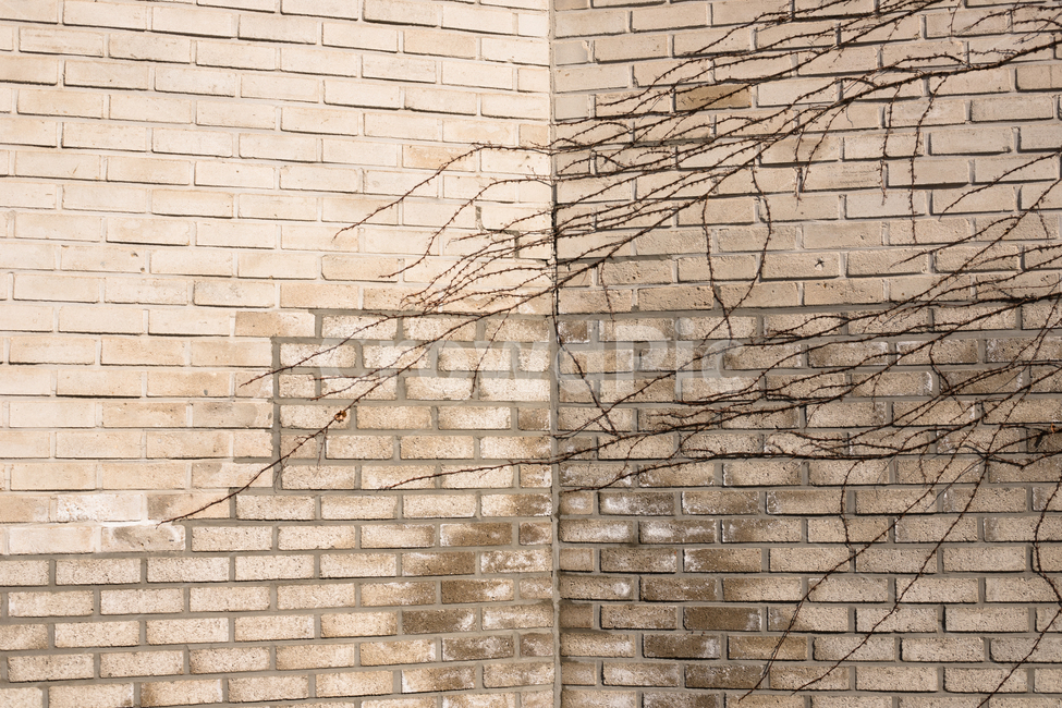 벽돌,담벼락,담장,앙상함,brick,wall,건축물,건물외관,exterior,building,structure,architecture,construction