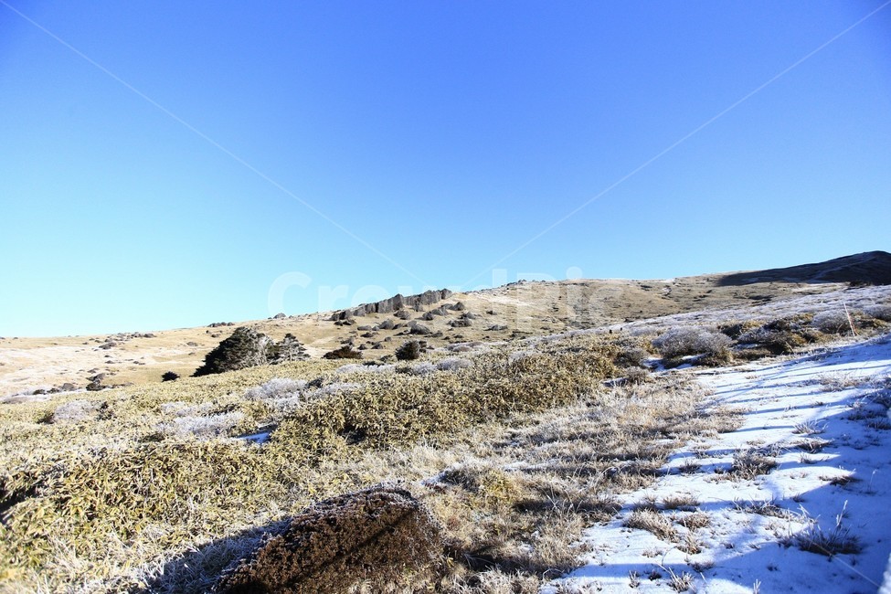 한라산,제주도,산,상고대,눈,눈꽃,겨울,snow,winter,나무,tree