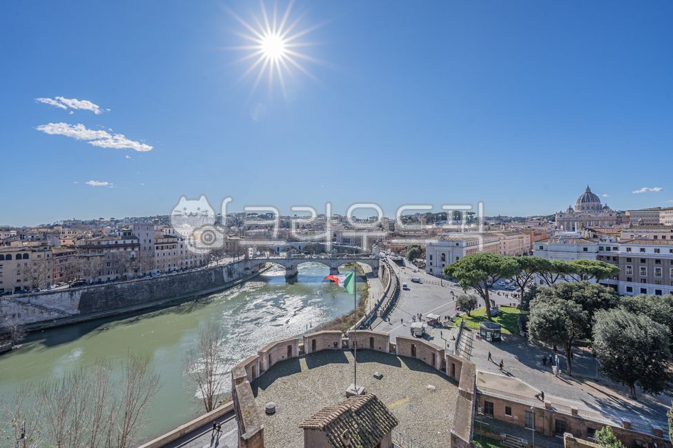 Rome,sight,Italy,Colosseum,building