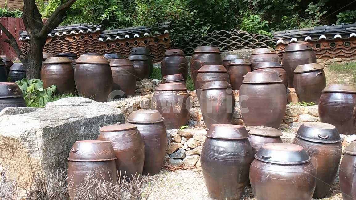 장독대,풍경,담장,항아리,시골풍경,한국전통,한국문화,korean traditional,korean culture,사물,물건,오브젝트,thing,object,matter