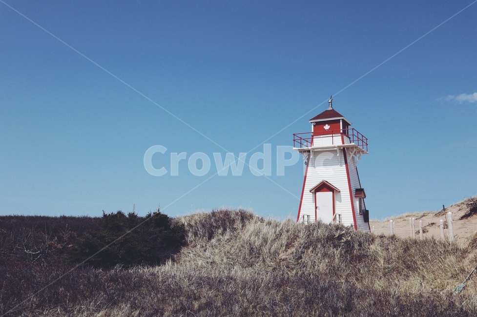 architecture,건축물,building,건물,tower,탑,lighthouse,등대,beacon,봉홧불,canada,캐나다,pei,프린스에드워드,섬,island,시골,풍경,rural,view,background,landscape,blue,sky,파란하늘,빨강머리앤,anne,고향,hometown,golden,field,황금,들판,황금들판