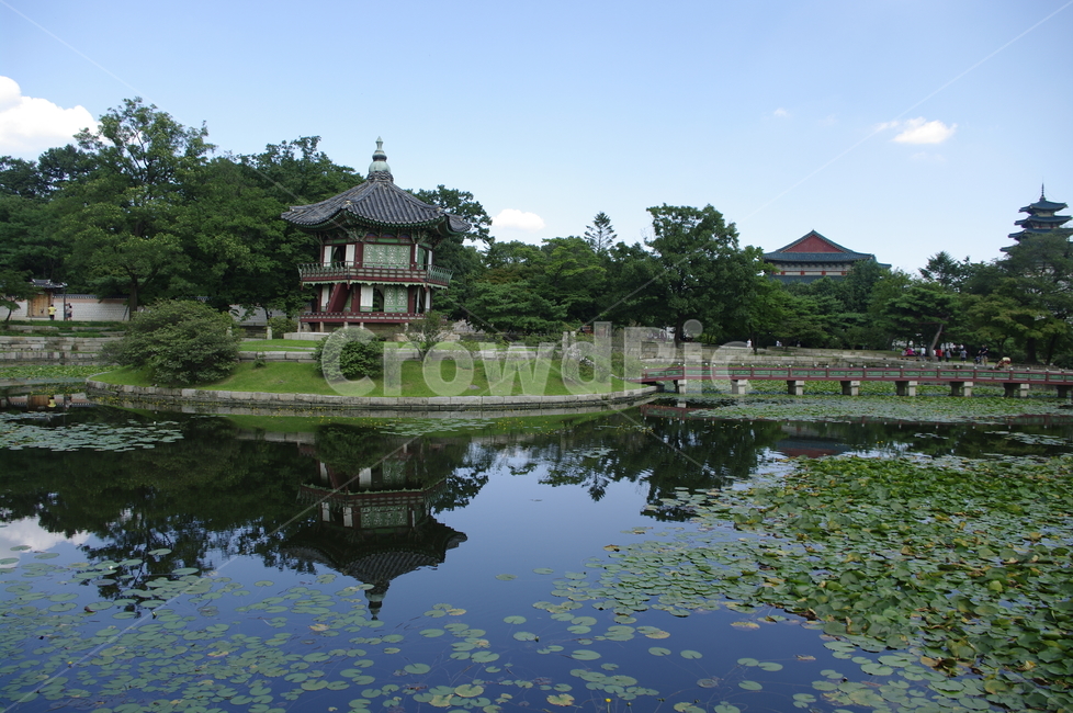 경복궁,향원정,연못,풍경,고궁,건축,전통건축,traditional,전통,기와지붕,도시,풍경,city,landscape,한국도시풍경,한국도시경관,korea cityscape,한국전통,한국문화,korean traditional,korean culture,outdoors,옥외,nature,자연,water,물