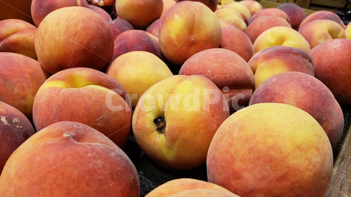 복숭아,과일,음식,배경,피치,peach,fruit