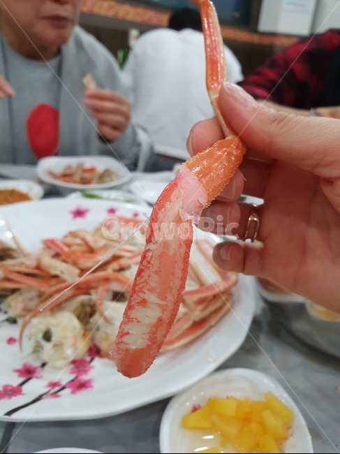 대게살,대게,해산물,음식,대게파티
