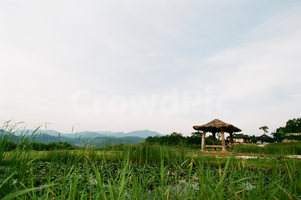 원두막,여름,정자,감성,필름사진,시골,마을,풍경,landscape,country,rural,town,한국전통,한국문화,korean traditional,korean culture,감성,sensible,feeling