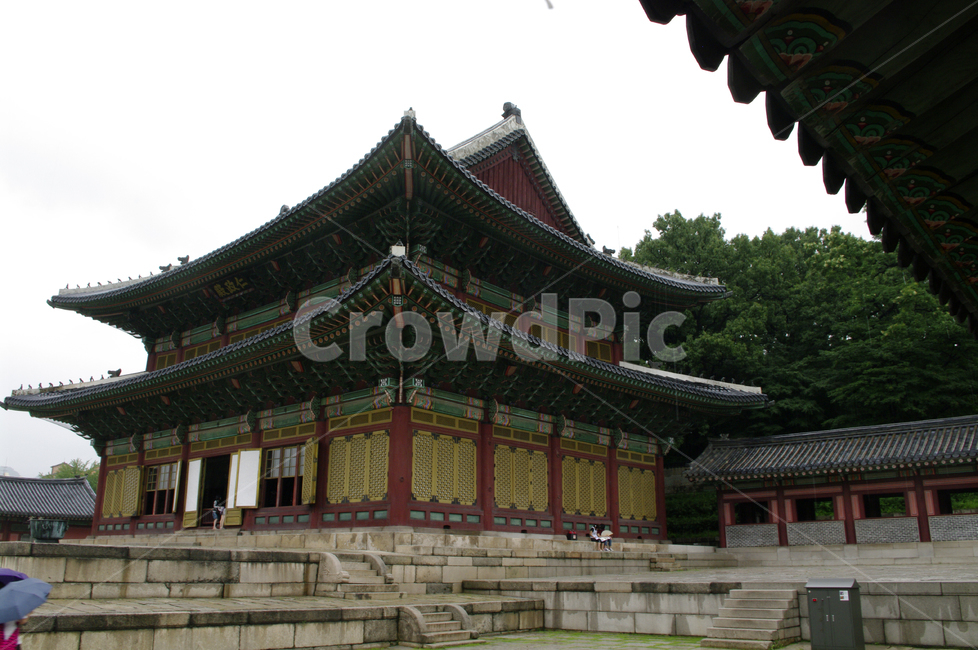 인정전,창덕궁,고궁,한옥,전통가옥,기와지붕,건축,traditional,한국전통,한국문화,korean traditional,korean culture,랜드마크,landmark,tourist attraction,한국랜드마크,한국관광지,한국명소,korea landmark,korea tourist attraction,건축물,건물외관,exterior,building,structure,architecture,construction
