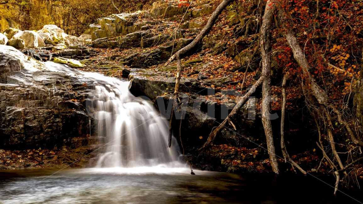 가을,단풍,폭포,트래킹,힐링,가을,계절,fall,autumn,season,자연,풍경,nature,landscape,water,물,outdoors,옥외,river,강,waterfall