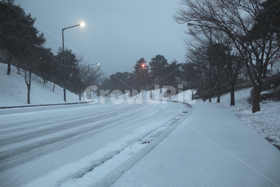 겨울,풍경,어둠,도로,길,나무,가로등,식물,계절,눈,눈길,winter,snow,tree,landscape,퇴근길,폭설,자연,대중교통,시골길,겨울,계절,winter,season,자연,풍경,nature,landscape,감성,sensible,feeling,outdoors,옥외