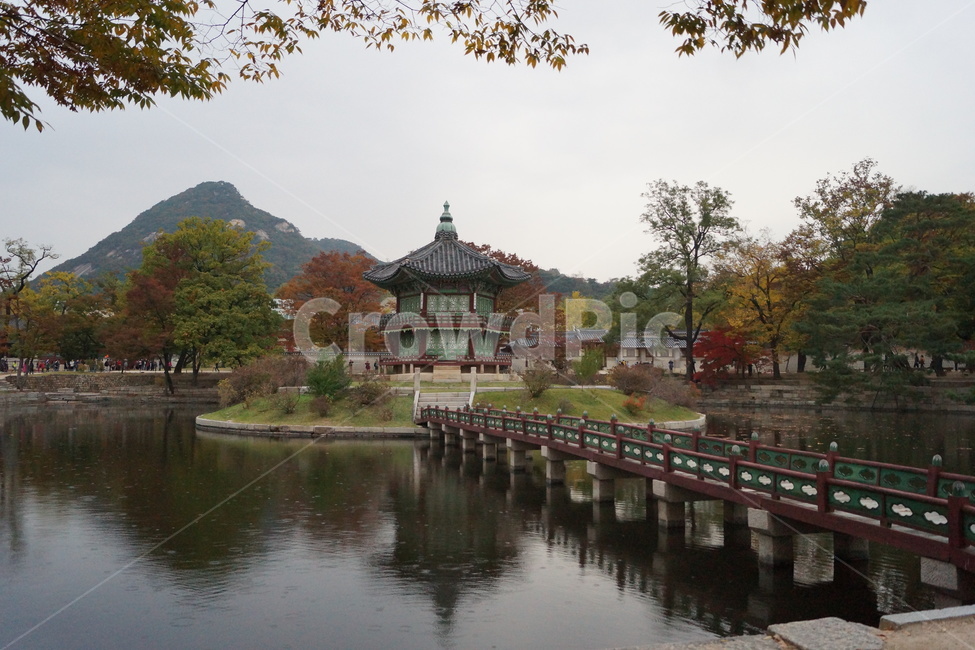 architecture,향원정,건축물,연못,경복궁,hyangwonjeong(pavilion),한국전통,한국문화,korean traditional,korean culture,건축물,건물외관,exterior,building,structure,architecture,construction