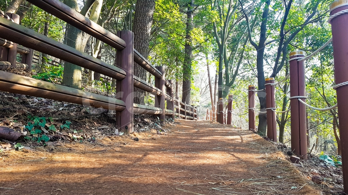 걸음,산책,운동,산책로,등산,발걸음,자연,풍경,nature,landscape,여름,계절,summer,season,outdoors,옥외,garden,정원,arbour,정자