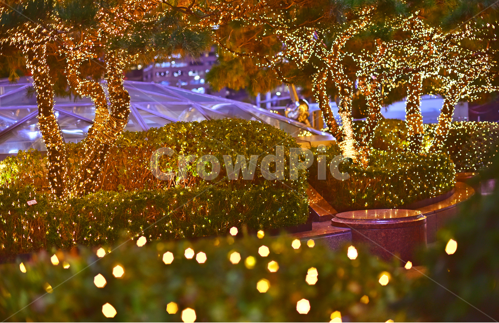 크리스마스,성탄트리,년말장식,성탄절,christmas,xmas,decoration,tree,ball,보케,빛망울,화려한,칼라풀,조명,불빛,라이트,색감,colorful,light,bokeh,배경,바탕,백그라운드,background,나무,장식,christmastree,크리스마스트리,plant,식물,메리크리스마스,성탄절,merry christmas