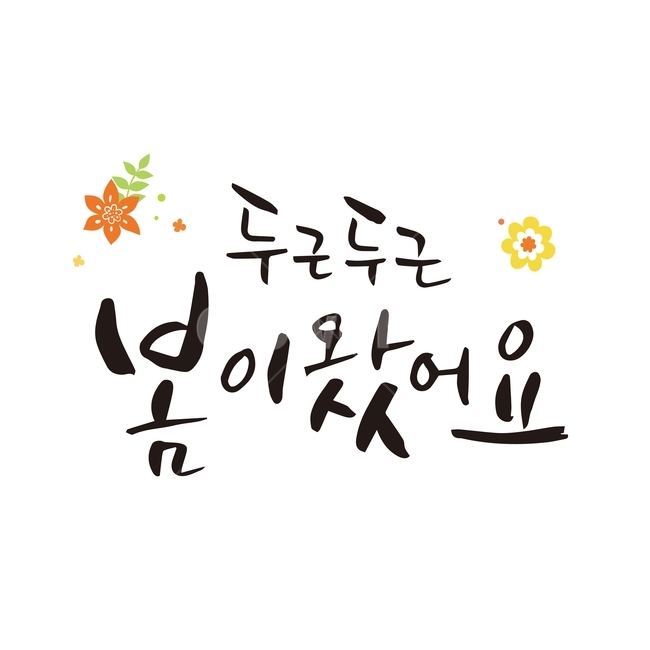 봄,꽃,식물,캘리그라피,손글씨,붓글씨,캘리,봄,계절,spring,season,누끼,remove background,캘리그라피,손글씨,calligraphy,handwriting,필적,달필