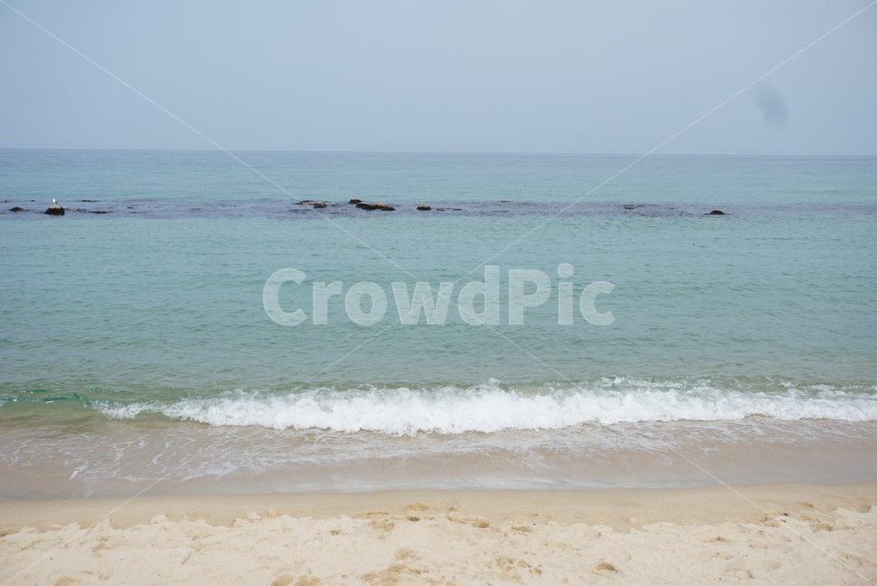 강릉,바다,파도,물,모래,해변