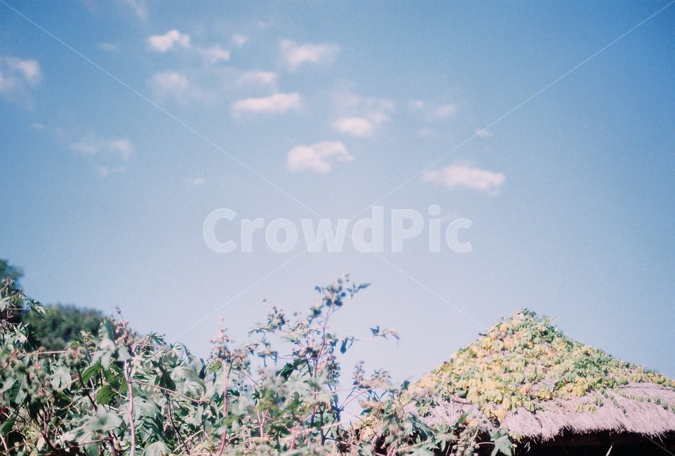 하늘,sky,풍경,nature,필름,film,자연,landscape,공원,park