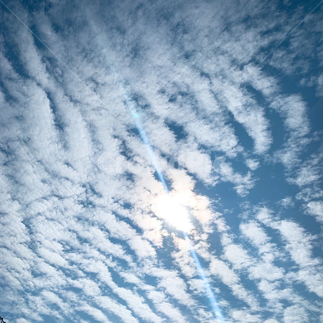 nature,자연,outdoors,옥외,azuresky,푸른하늘,sky,하늘,하늘색,구름,cloud,sun,summer,sunnyday,blue,view,풍경,조각구름,mood,감성,감성사진,감성샷