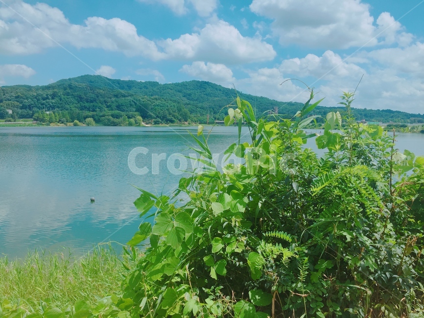 호수,하늘,구름,산,summer,나무,sky,cloud,lake,mountain,tree,여름,맑음