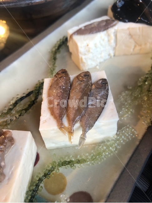 맛집,생선,물고기,두부,바다포도