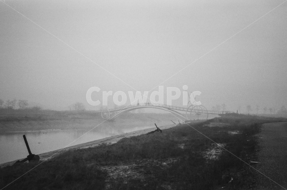 미생교,아침,안개,다리,물,풍경,자연,풍경,nature,landscape,흑백,모노톤,monochrome,black and white,weather,날씨,fog