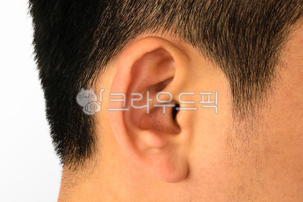 사람,귀,신체,얼굴,머리카락,피부,황인,아시아인,부위,측면,건강,남성,고막,의학,병원