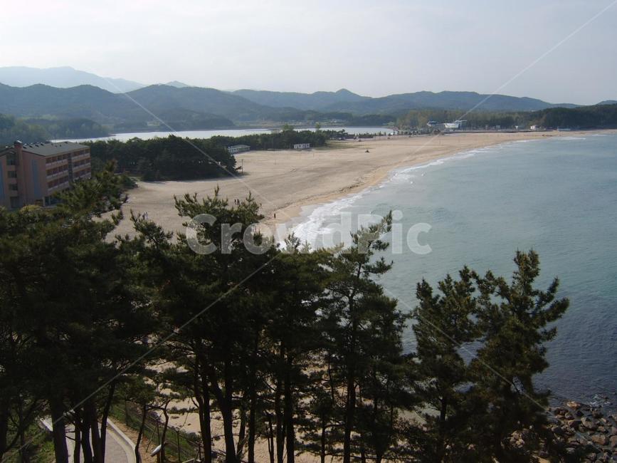 강원도,고성군,화진포,해수욕장,바다,동해안,모래사장,한국,korea,beach,sea,coast,gangwondo,landscape,풍경,소나무,자연,풍경,nature,landscape,tree,나무,plant,식물,promontory,곶