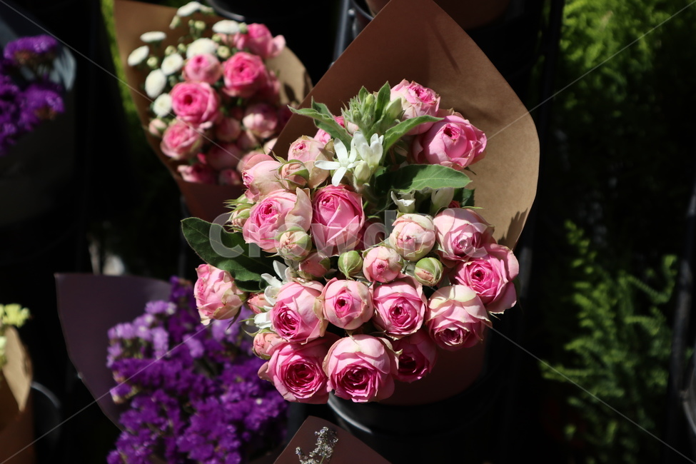 꽃,꽃다발,flower,봄,분홍꽃,선물,식물,자연,plants,nature,꽃,flower