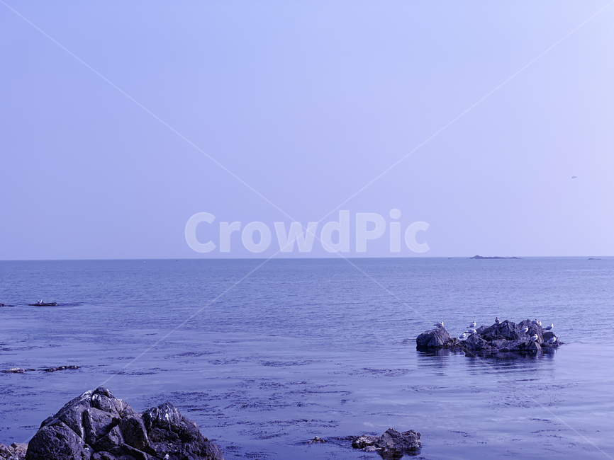 수평선,horizontalline,sealine,갈매기,seagull,mew,gull,seamew,seagull,바다,잔잔한바다,바닷가,sea,하늘,sky,자연,풍경,nature,landscape,architecture,건축물,building,건물,tower,탑