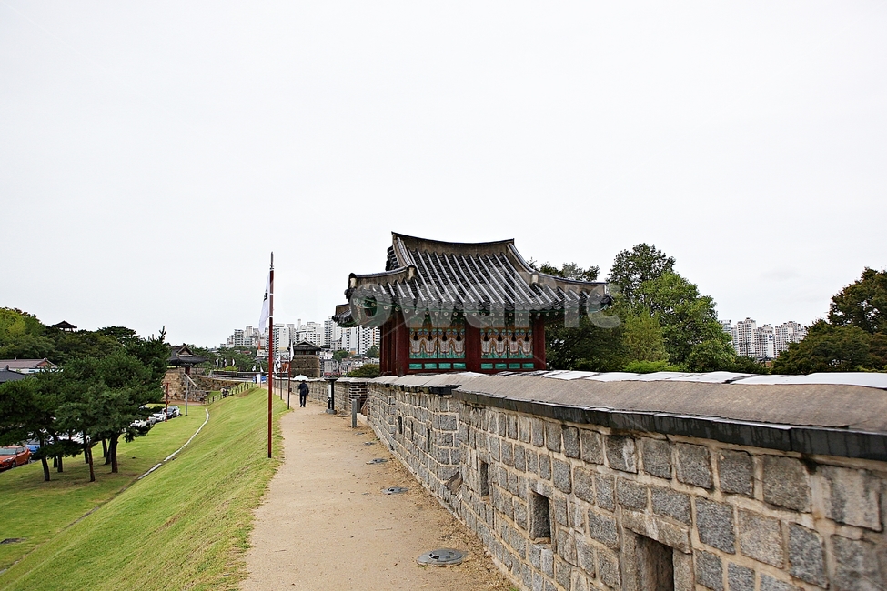 수원화성,성,성곽,길,둘레길,돌담,담,여름,자연,풍경,벽,방어벽,흙담,전통,한국전통,한국문화,korean traditional,korean culture
