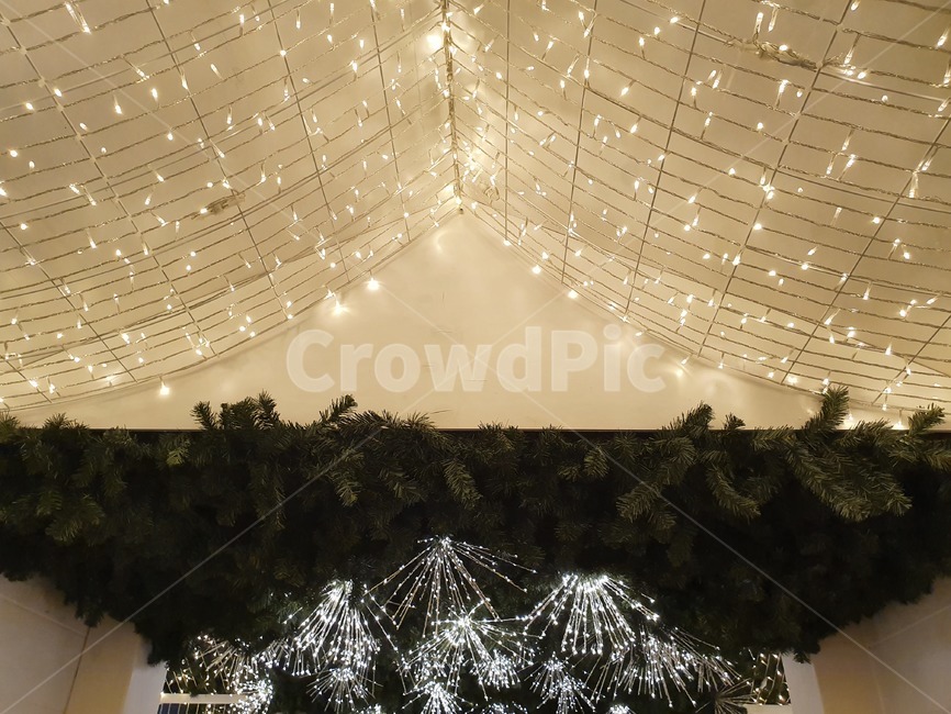 lighting,조명,크리스마스,tree,식물,나무,plant,christmad,겨울,winter,겨울,계절,winter,season,메리크리스마스,성탄절,merry christmas