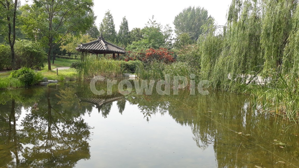 가을,호수,나무,tree,풀,풀숲,숲,초록색,정자,버드나무,공원,park,green,water,반사,자연,nature