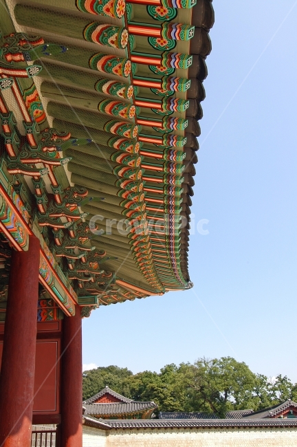 단청,처마,무늬,문양,전통무늬,전통문양,패턴,한옥,지붕,기와,기와지붕,창덕궁,궁,고궁,궁궐,전통,한국,한국전통,전통건축,건축,건축물,전통건축물,컬러,칼라,컬러풀,담,담장,배경,바탕,백그라운드,건물,한국전통,한국문화,korean traditional,korean culture,랜드마크,landmark,tourist attraction,한국랜드마크,한국관광지,한국명소,korea landmark,korea tourist attraction,건축물,건물외관,exterior,building,structure,architecture,construction