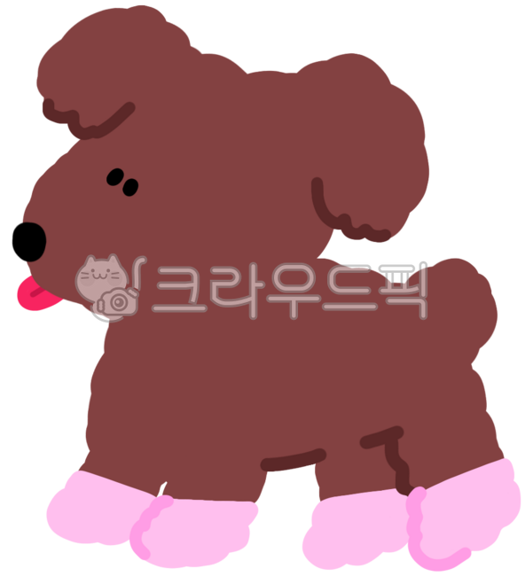 달리는강아지,달리는,뛰어가는,강아지,반려견,댕댕이,신발신은,강아지신발,애완견,동물,멍멍이,멍뭉이,동물친구,반려동물,애완동물,초코색,푸들,새끼강아지,초코푸들,뽀글뽀글,토실토실,복실복실한,귀여운,아기자기,감성적,초코