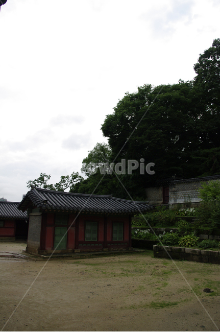 창덕궁,고궁,전각,한옥,전통가옥,기와지붕,건축,traditional,한국전통,한국문화,korean traditional,korean culture,건축물,건물외관,exterior,building,structure,architecture,construction