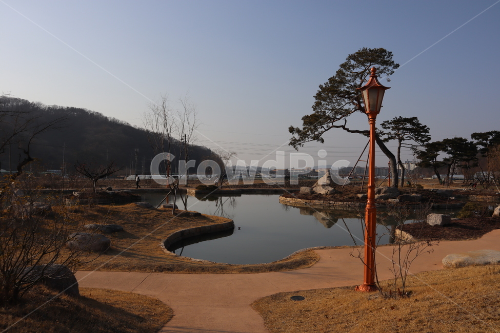 남평문씨,명소,연못,저녘,소나무,자연,풍경,nature,landscape
