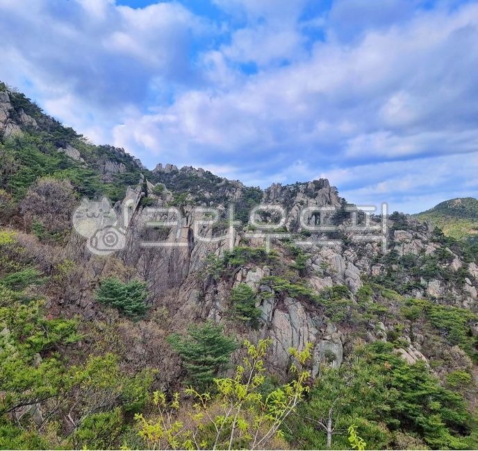 atmosphere,green,nature,clear sky,tree,evergreen,summit,spring hiking,mountain climbing,cloud,rock,rock wall,sunlight,lively,outdoors,clear weather,plant,mountain ridge,dirt road