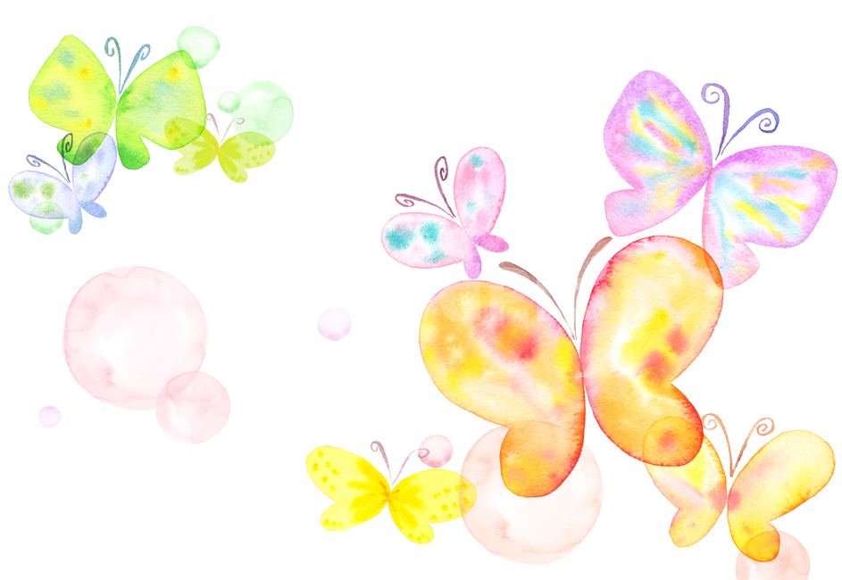 봄,나비,수채화,감성,동화,여유,여름,물방울,페인터,삽화,painter,곤충,일러스트,그래픽,일러스트레이션,graphic,illustration