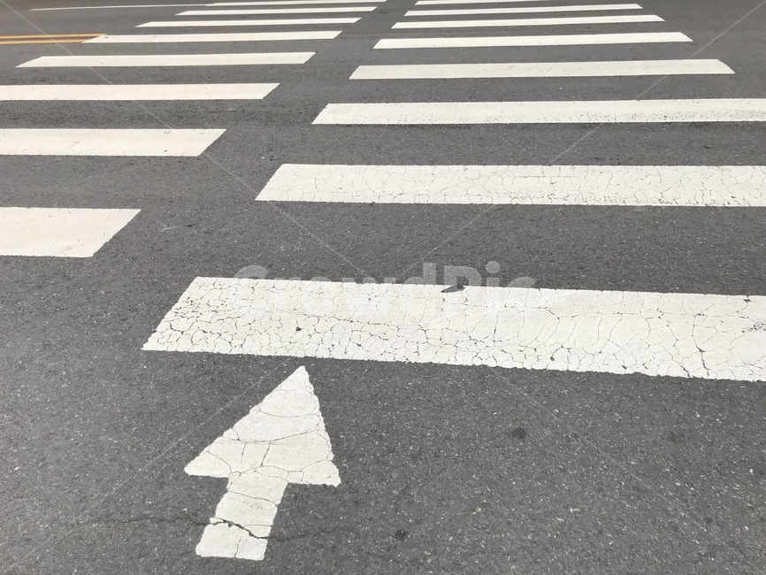 길,도로,교통,대로,횡단보도,신호등,화살,교통,교통수단,traffic,transportation