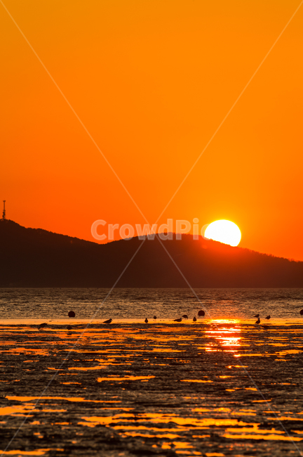 nature,자연,outdoors,옥외,sunset,일몰,dusk,황혼,redsky,붉은하늘,sky,하늘,dawn,새벽,햇빛,sunlight,바다,ocean,sea,해,태양,sun,풍경,scenery,foreshore,갯벌,자연,풍경,nature,landscape