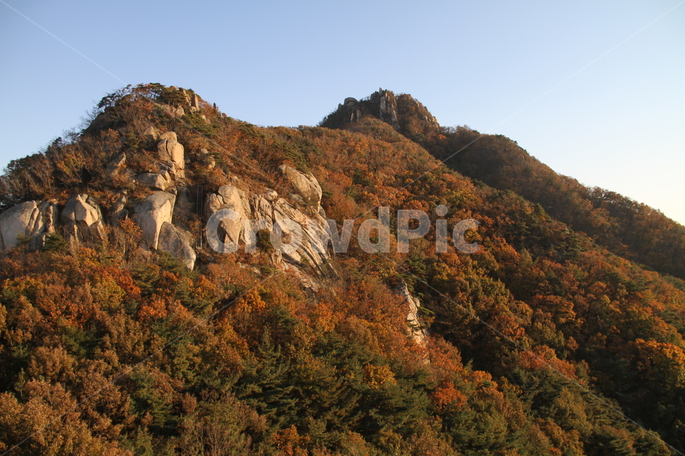 자연,가을,단풍,산,등산
