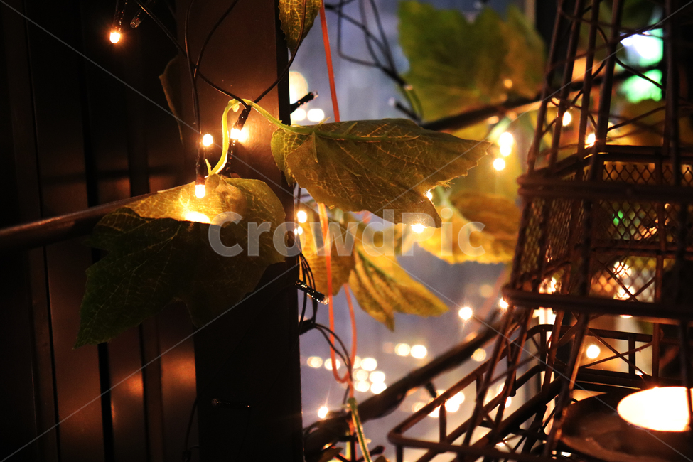 flare,플레어,light,빛,라이트,감성,feeling,emotion,나뭇잎,leaf,조형물
