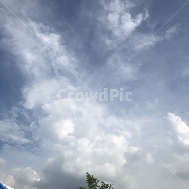 하늘,구름,흐림,우중충,분위기,나무,자연,풍경,nature,landscape,outdoors,옥외,weather,날씨