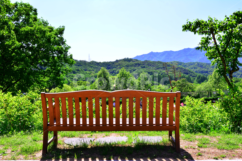 힐링,벤치,의자,나무의자,쉼터,휴식,빈자리,relaxation,rest,쉼,쉬어가는곳,여유,명상,산책,bench,leisure,sit,chair,풍경,앉다,자리,편안한,공원,healing,landscape,sightseeing,평화로운,안정,빈의자,자연,풍경,nature,landscape,휴식,힐링,rest,relaxation,healing,park bench,공원 벤치