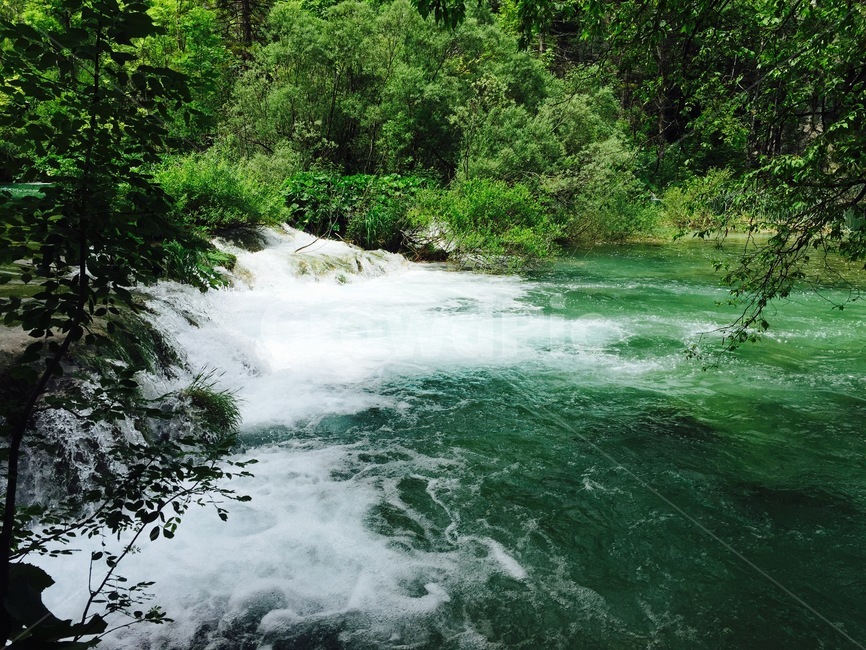 외국풍경,자연,물,초록,나무,자연,풍경,nature,landscape,water,outdoors,옥외,stream,흐름,creek,작은 만