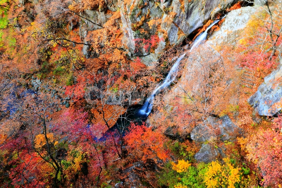 희방폭포,낙엽,가을,물,소백산,희방사,단풍,가을,계절,fall,autumn,season,자연,풍경,nature,landscape